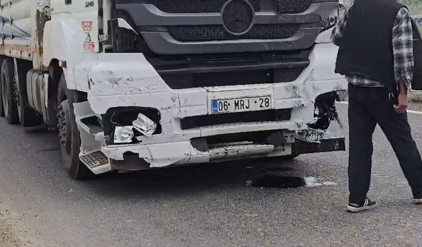 Hayvan yüklü kamyon kaza yaptı!