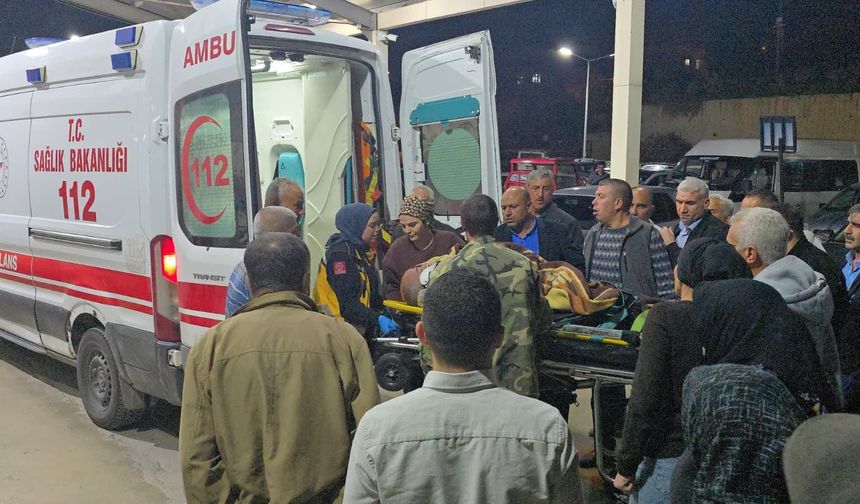 Küçükbaş Hayvan Yüklü Kamyonet Devrildi