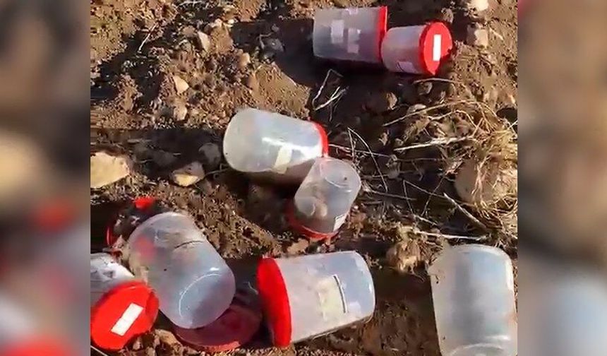 Mezarlık alanındaki varilde 21 cenin bulundu