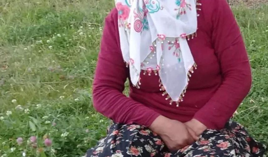 Muş'ta dereye düşerek kaybolan kadın aranıyor