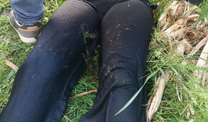 Sakarya'da gölette ceset bulundu