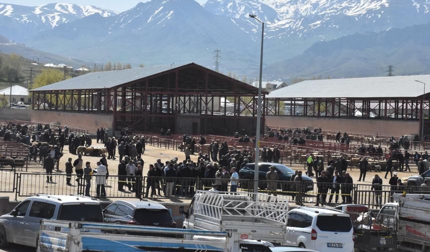 Van'da Hayvan Pazarında Ölümlü Kavga