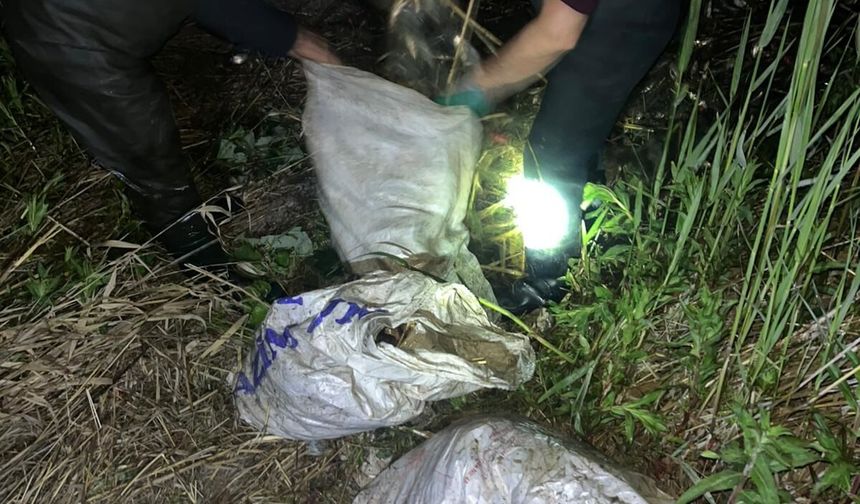 Van’da kaçak avcılara operasyon: 1 ton ölü inci kefali ele geçirildi