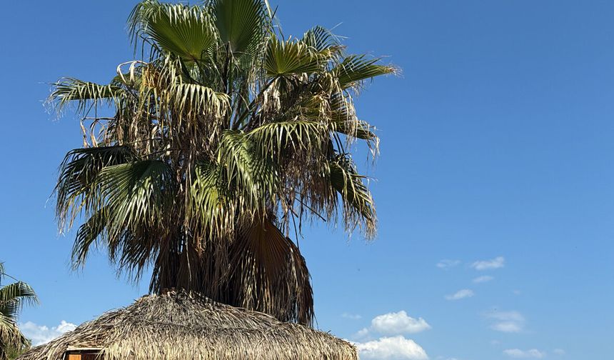 Bayramda Bodrum doldu taştı: Sıcak hava ve turist yoğunluğu dikkat çekti