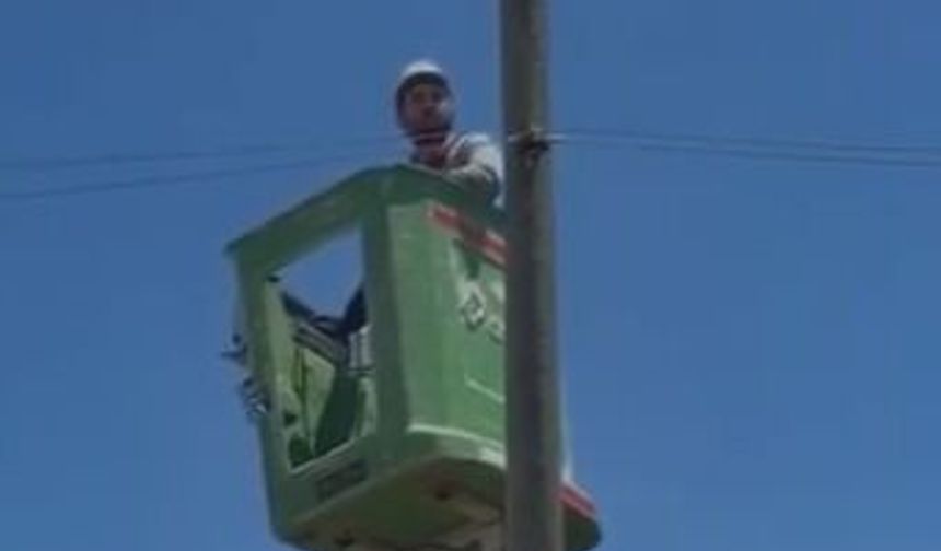 Amasya'da bir kedi elektrik direğinde mahsur kaldı