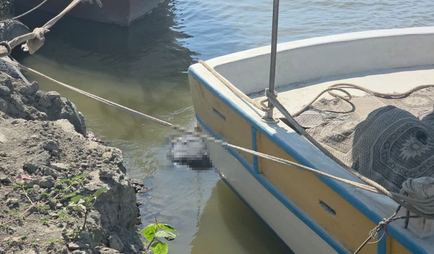 Asi Nehri'nde erkeğe ait cansız beden bulundu