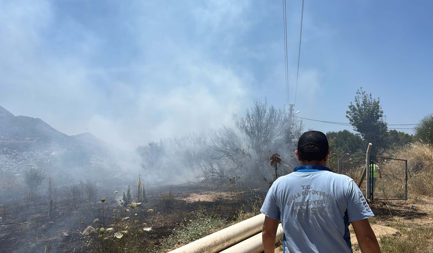Bodrum'da maki yangını: 1 dekar alan zarar gördü