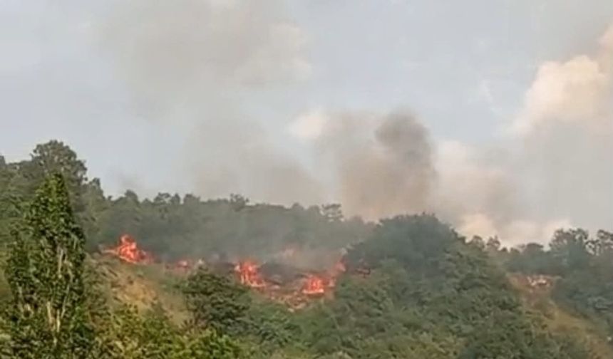 Bursa’da makilik alanda çıkan yangın söndürüldü