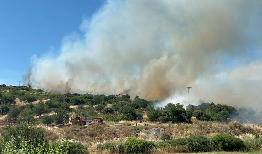 Çanakkale'de bozuk ormanda yangın çıktı