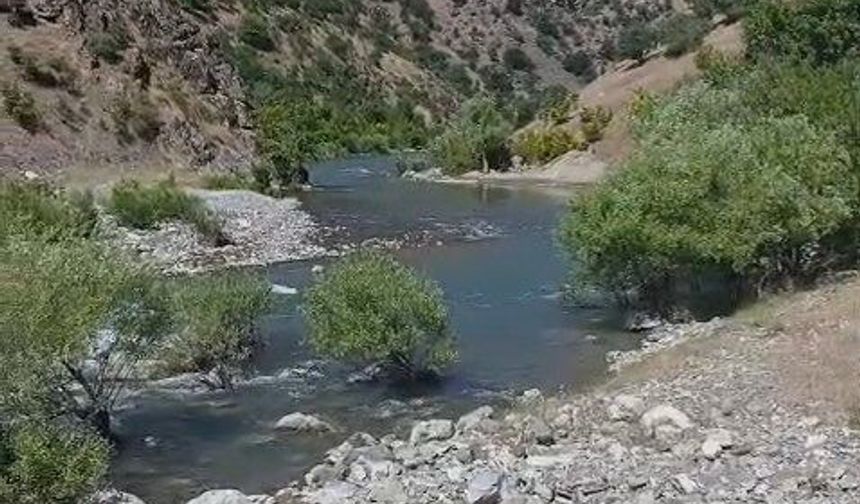 Çayda akıntıya kapılan vatandaşın arama çalışmaları sürüyor