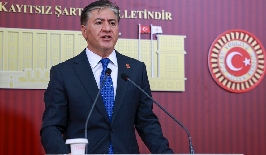 CHP'li Emir'den kurultay açıklaması