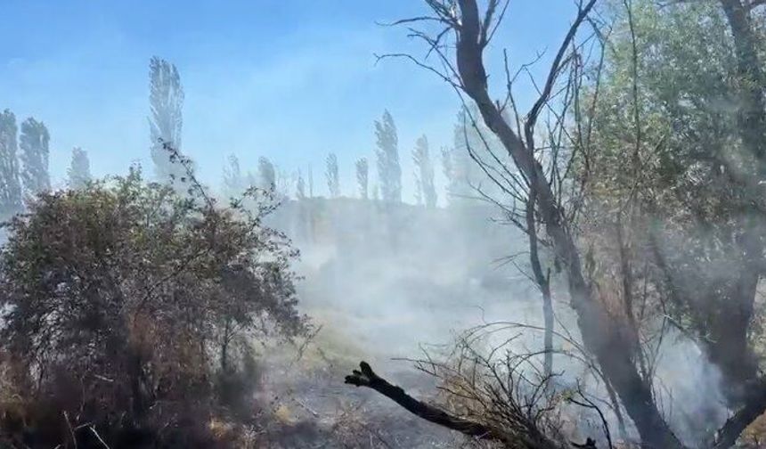 Çorum'da ekili arazi ve ağaçlık alanda yangın çıktı