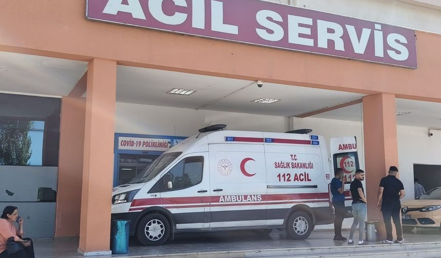 Iğdır'da Otomobil ile Minibüs Çarpıştı