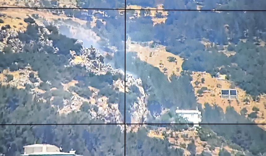 Kahramanmaraş'ta orman yangını çıktı