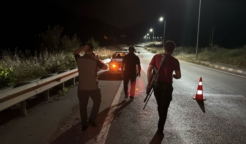 Karabük'te otomobilin çarptığı bozayı çaya düştü