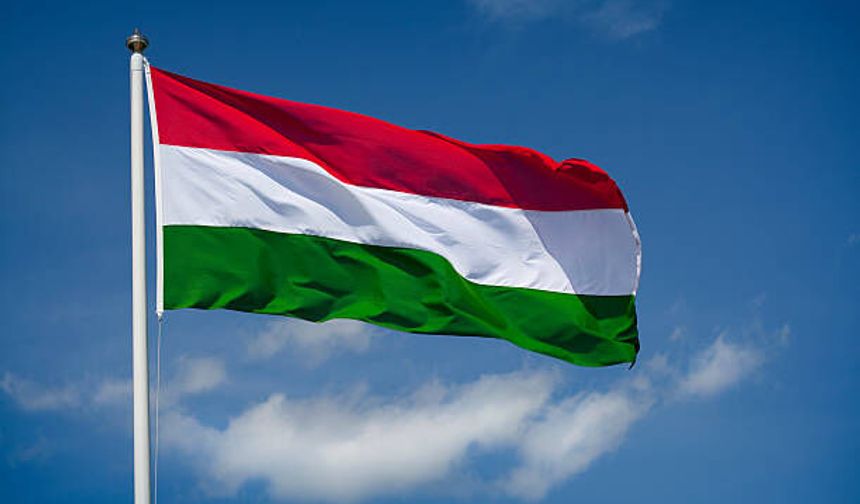 Macaristan'da feci kaza: 8 kişi hayatını kaybetti