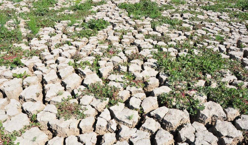 Marmara Gölü tekrar canlandı