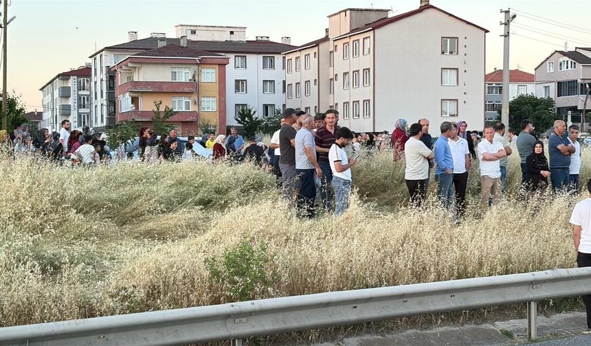 Otomobilin çarptığı Rabia, öldü