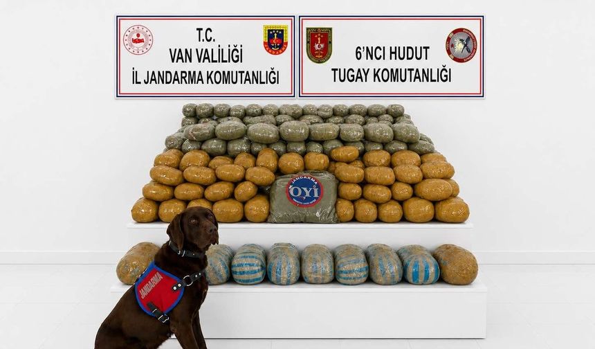 Van-İran sınırında uyuşturucu operasyonu