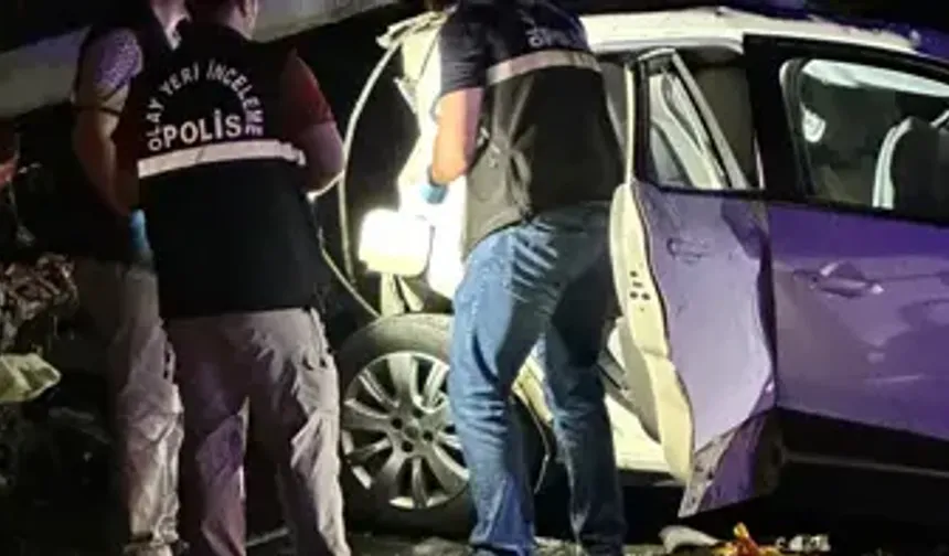 Karadeniz Sahil Yolu'nda zincirleme kaza