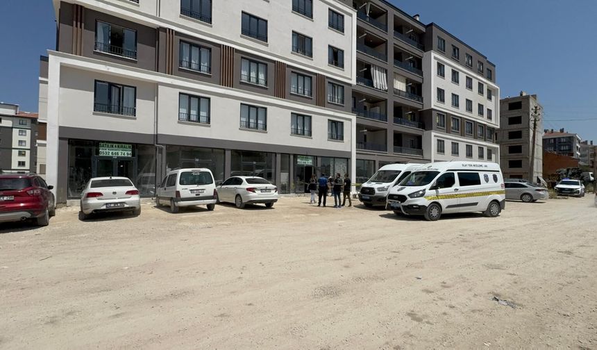 500 bin lira için emlakçıyı vurdu