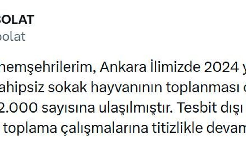Başkentte 52 bin sahipsiz sokak hayvanı toplandı
