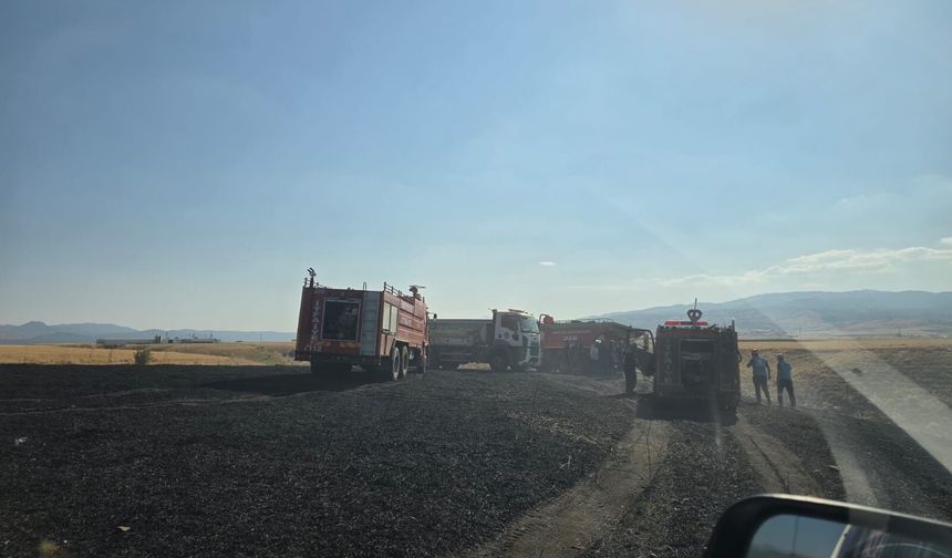 Bingöl'de korkutan anız yangını