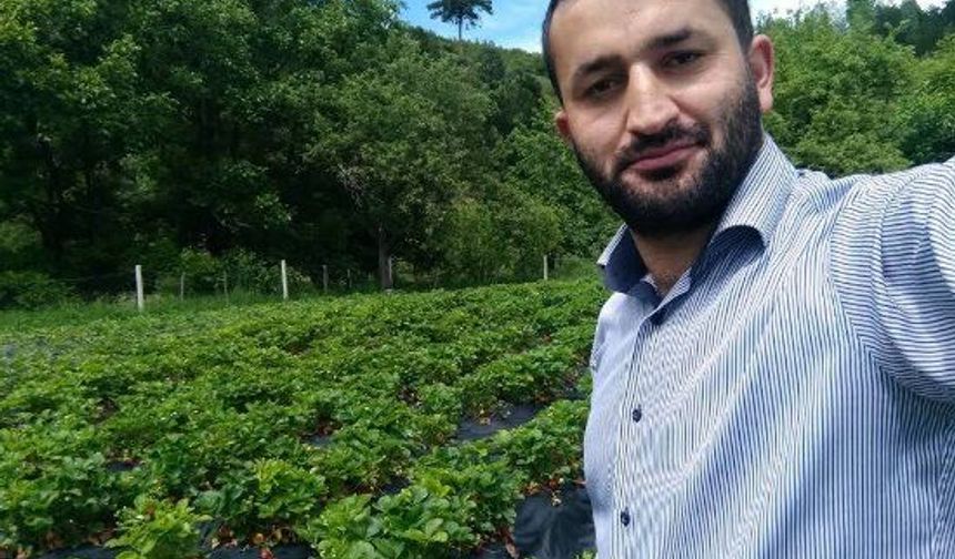 Çorum'da Köye İnen Ayılar Bahçelere Saldırdı