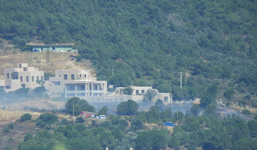 Cunda Adası'nda orman yangını çıktı