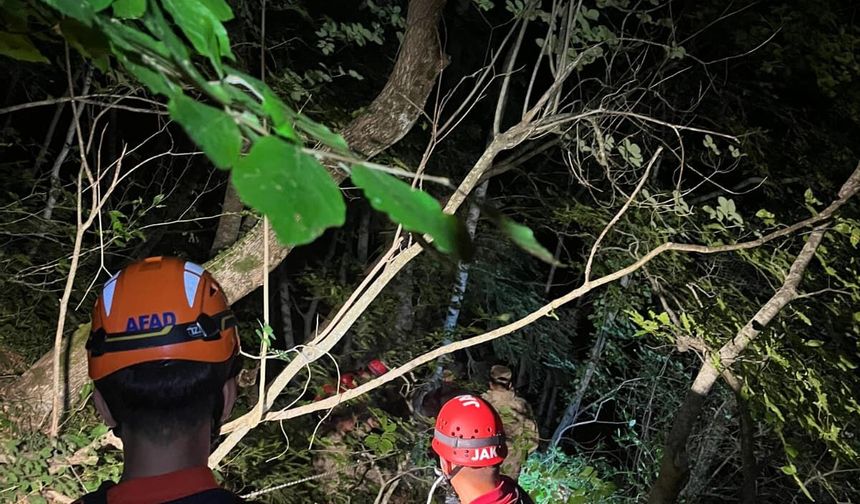 Kastamonu'da aranan kişi yaralı halde bulundu