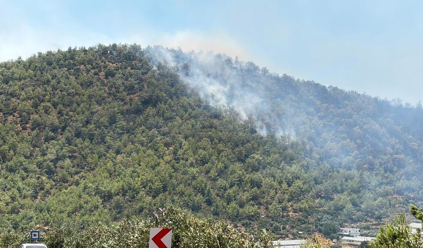 Mersin'deki orman yangını kontrol altına alındı