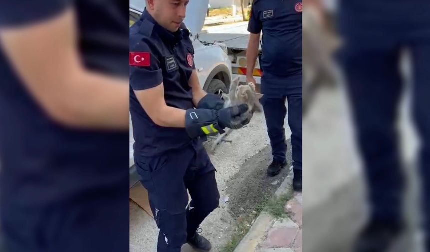 Otomobilin motoruna giren yavru kedi itfaiye tarafından kurtarıldı