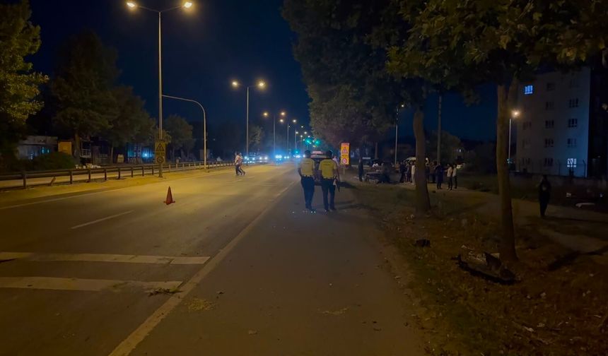 Sakarya'da Ağaca Çarpan Araç Bölündü