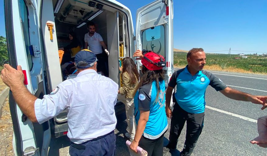 Şanlıurfa’da Otomobil Minibüse Arkadan Çarptı: 12 Yaralı