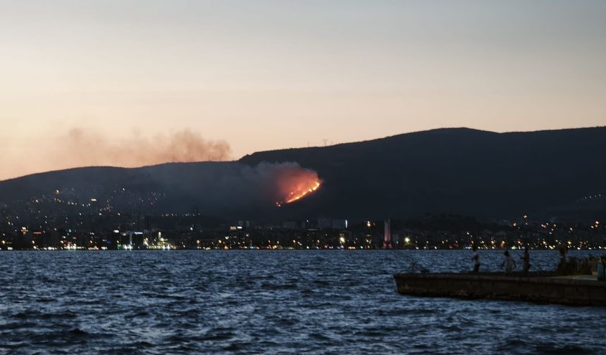 İzmir'de Orman Yangını