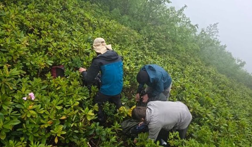Rize'de Umutlu Bekleyiş Sona Erdi! Kaybolan 3 Rus Turiste Ulaşıldı