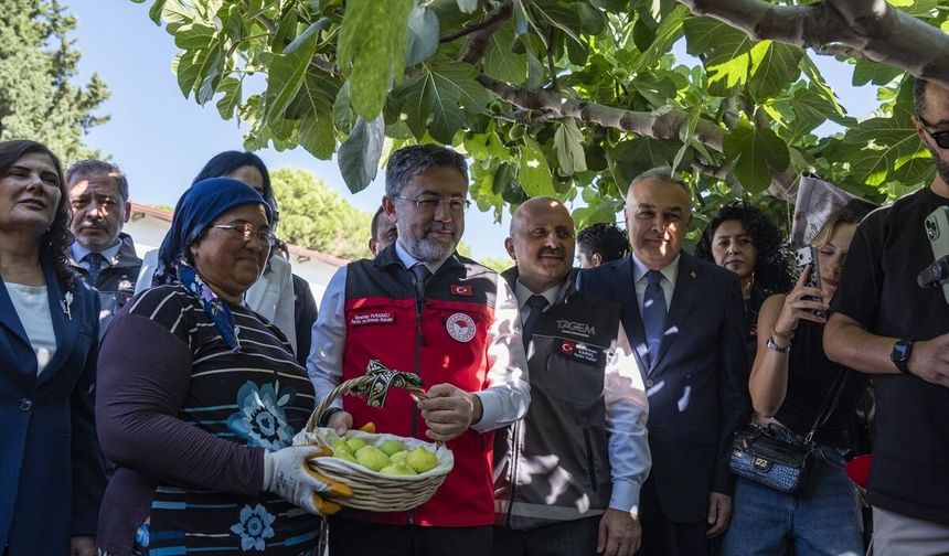 "Türkiye, dünya incir üretiminde yüzde 28'lik oranla birinci sırada"