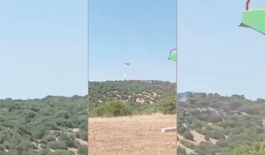 Adıyaman'da ormanı alevler sardı!