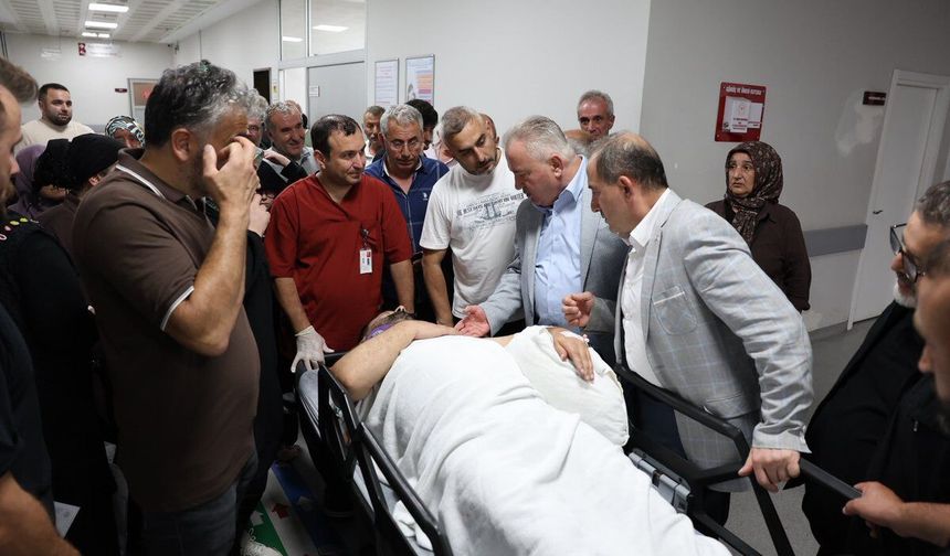 Arı kovanlarının bakımını yaparken düşen belediye başkanı yaralandı