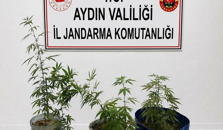 Aydın'da uyuşturucu operasyonu