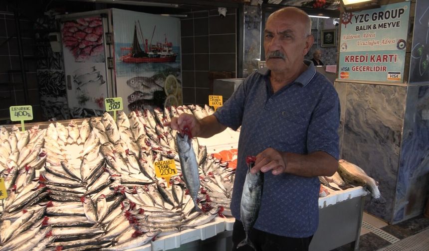 Balıkta Av Yasağı Sona Eriyor