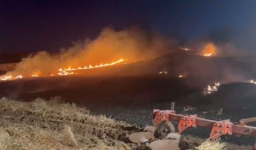 Çorum'da 500 Dönüm Alanda Yangın