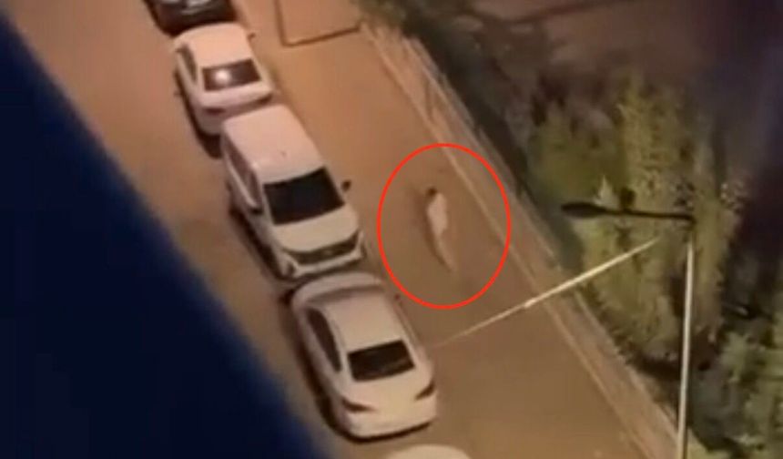 Diyarbakır'da yumruklu kavga!