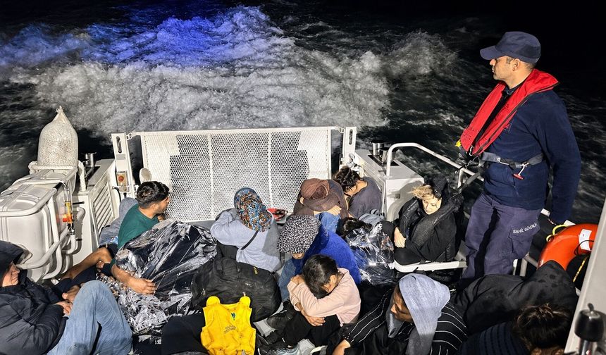 Edirne'de kaçak göçmen operasyonu: 41 yakalama