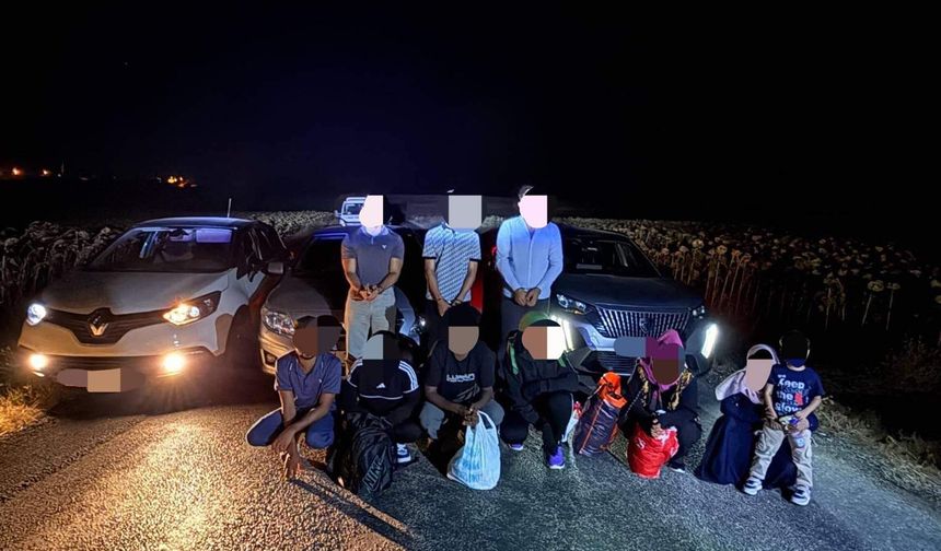 Edirne'de kaçak göçmenler yakalandı