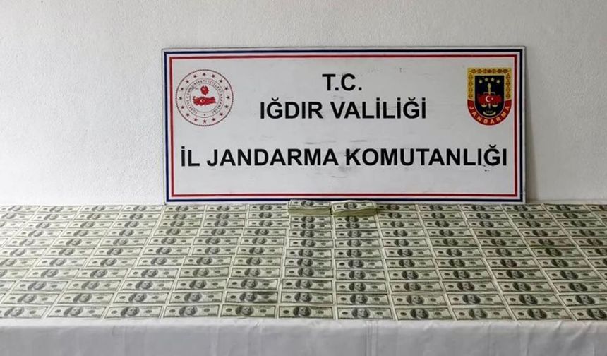 Iğdır'da kalpazanlık operasyonu