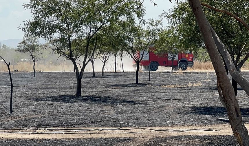 Konya’da ağaçlık alanda yangın: 5 bin metrekare zarar gördü