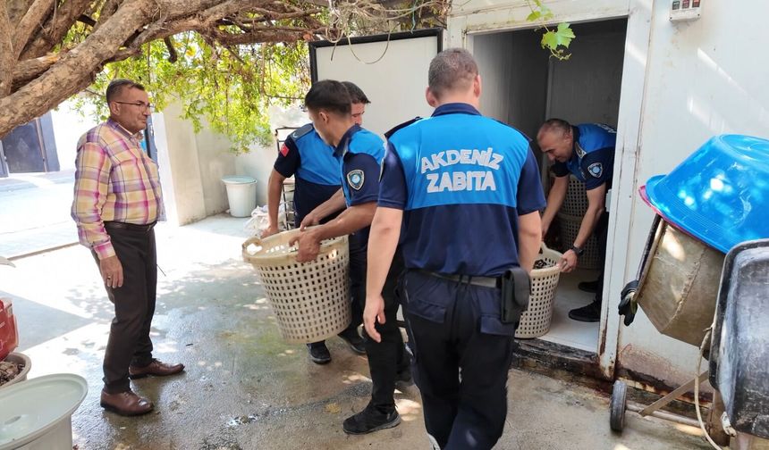 Mersin'de kilolarca bozuk midye dolması ele geçirildi