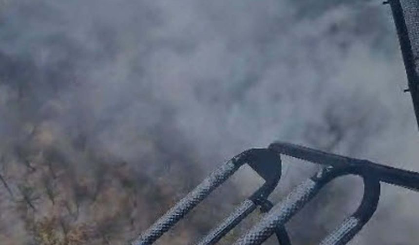 Muğla'da tarım arazisinde başlayan yangın ormana sıçradı