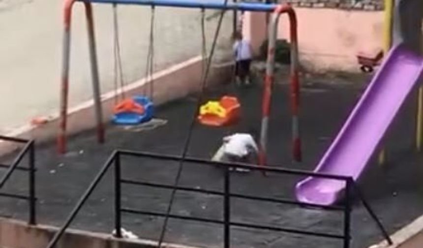 Parkı Temizlediler, Sonra Oyuna Devam Ettiler